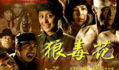 电视剧狼毒花,烽火岁月里的英雄传奇