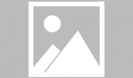 兽动漫,狂野幻想与人性探索的奇幻之旅